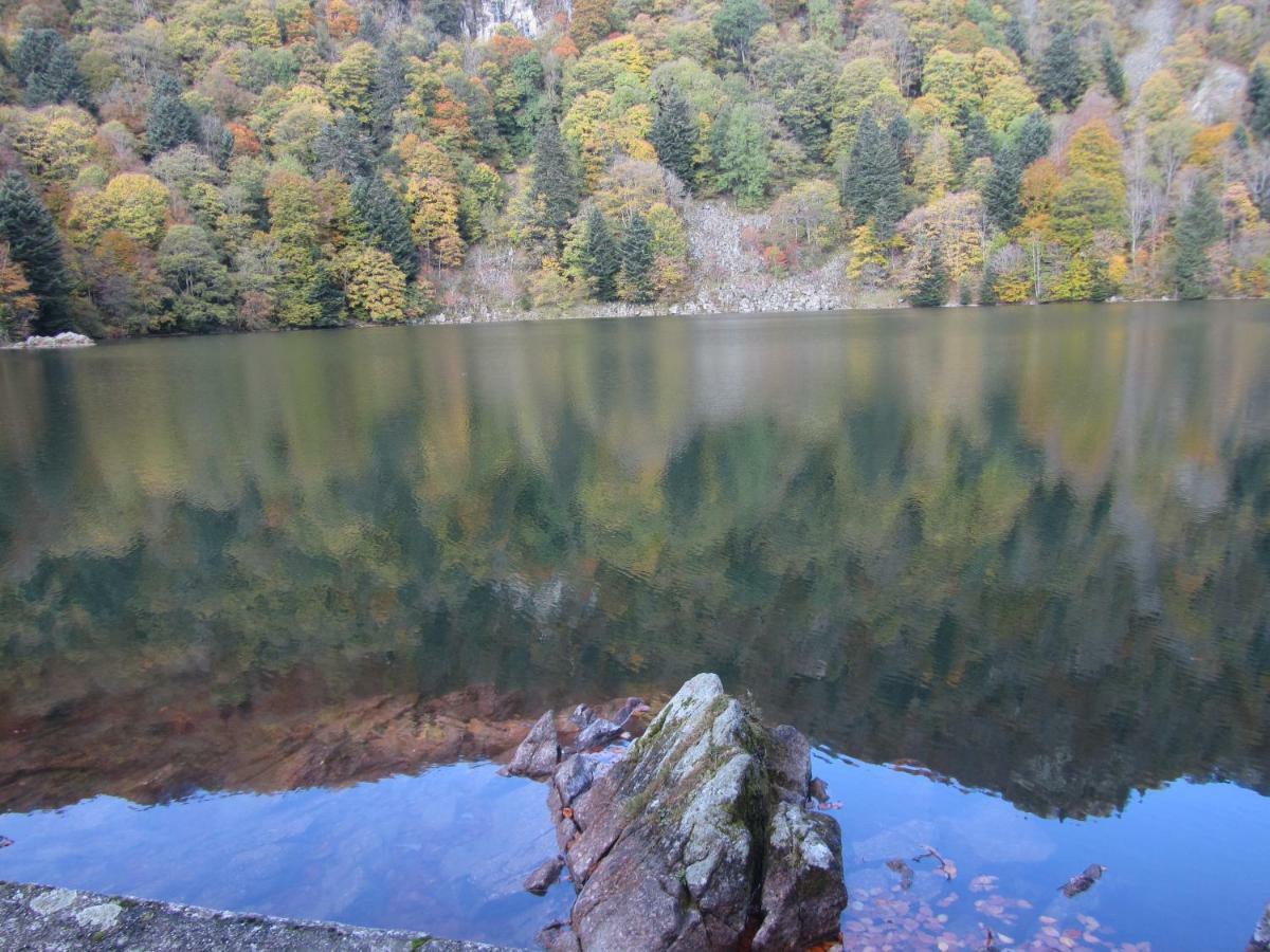 Le Nid Fleuri De Cravanche Bagian luar foto