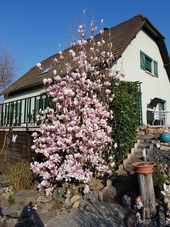 Le Nid Fleuri De Cravanche Bagian luar foto